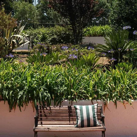Casa Lorena Exclusive Retreat In Serra, Tomar Villa